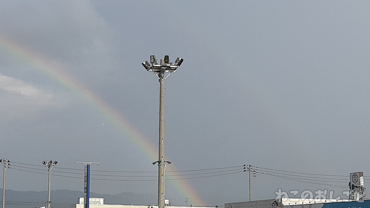 二重虹 ふたえにじ が出てた ダブルレインボー なんだかいい事ありそうな予感 ねこのおしごと 二重虹 ふたえにじ が出てた ダブルレインボー なんだかいい事ありそうな予感 ねこのおしごと