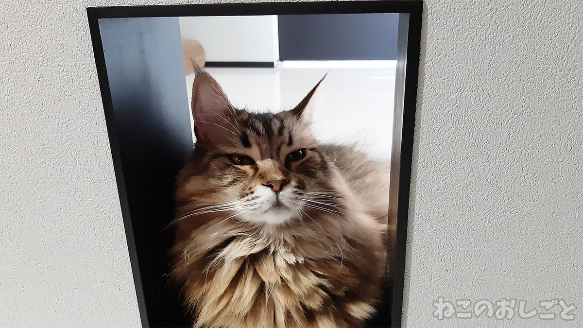 f:id:necozuki299:20211005111701j:plain