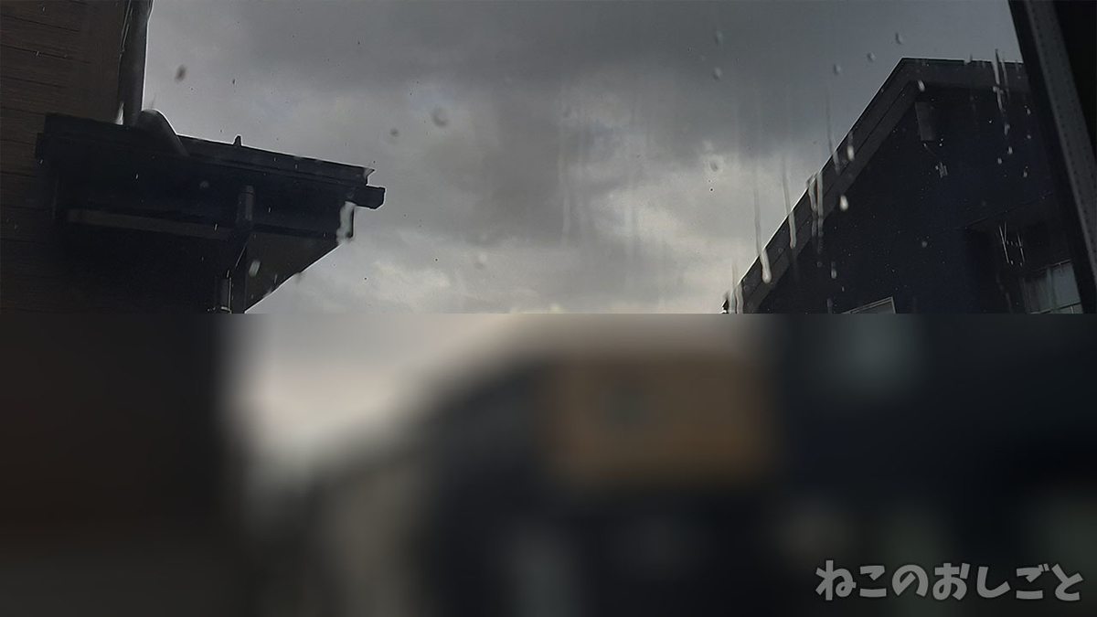 f:id:necozuki299:20211008213721j:plain