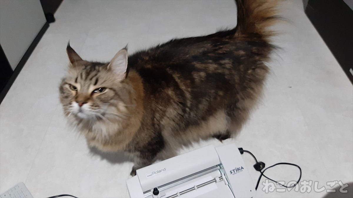 f:id:necozuki299:20211009034346j:plain