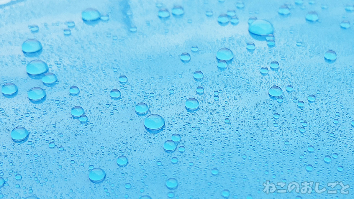 f:id:necozuki299:20211029173725j:plain