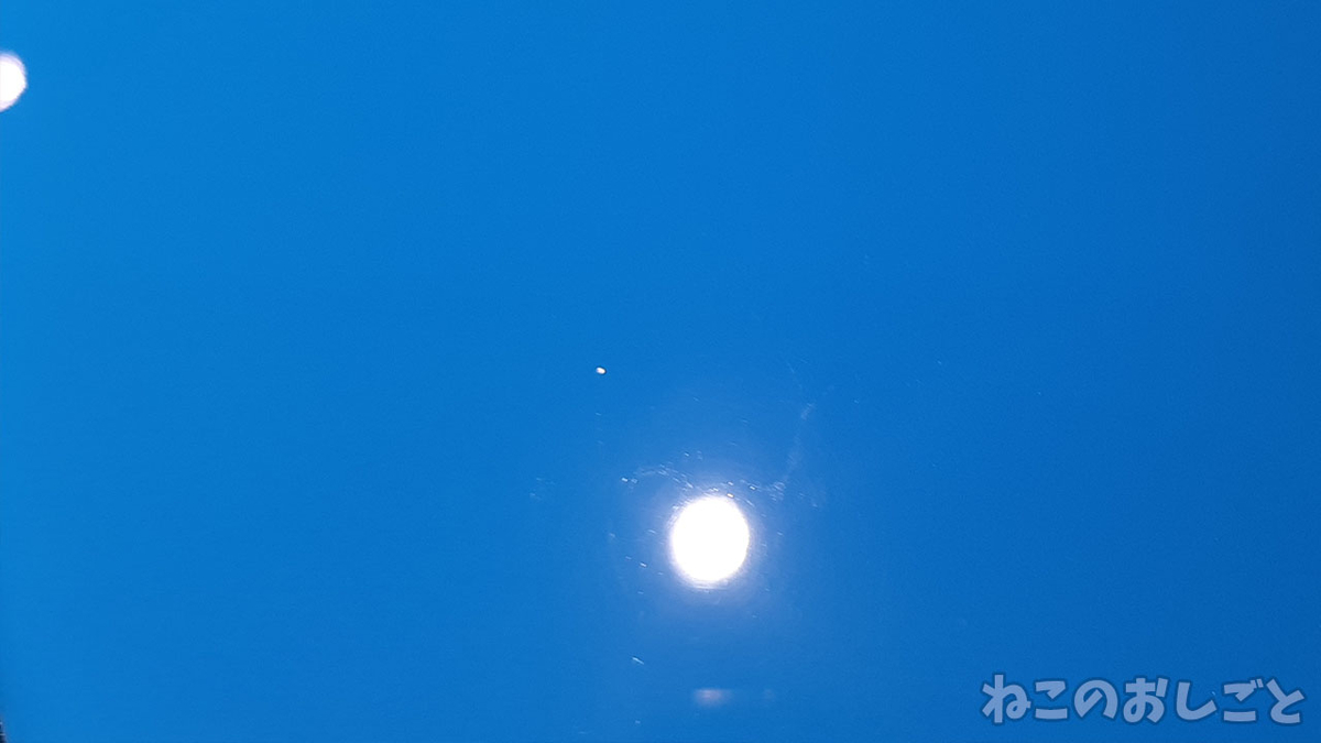 f:id:necozuki299:20211029180546j:plain