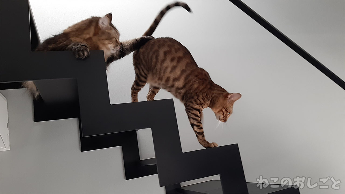 f:id:necozuki299:20211103142042j:plain