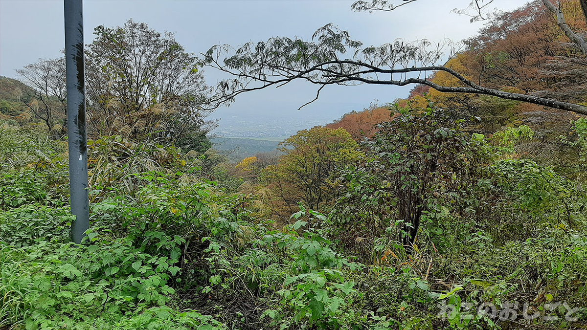 f:id:necozuki299:20211105153030j:plain