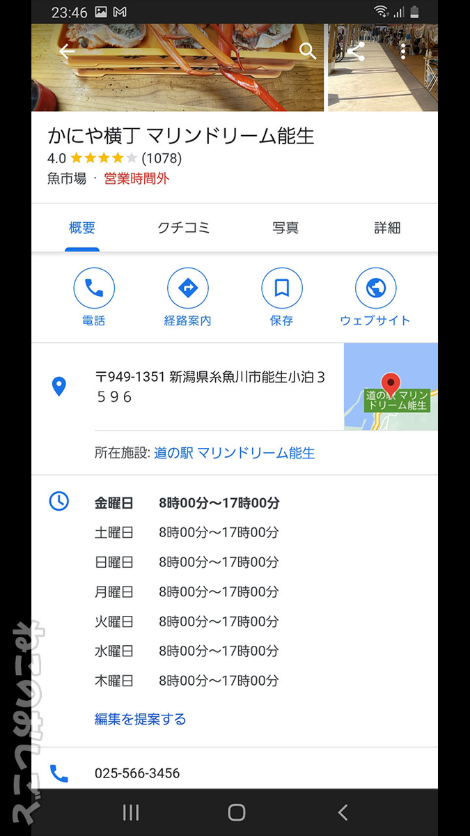 f:id:necozuki299:20211106124023j:plain