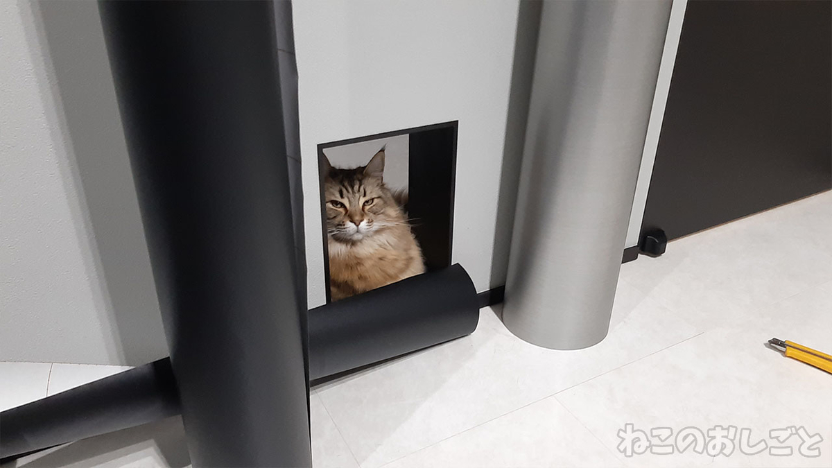 f:id:necozuki299:20220125205616j:plain