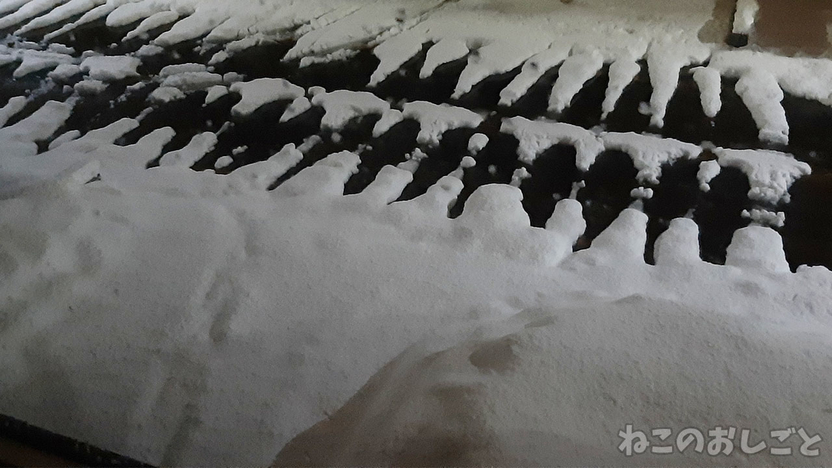 f:id:necozuki299:20220203132724j:plain