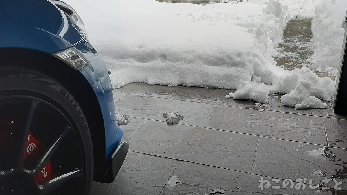 f:id:necozuki299:20220203133230j:plain