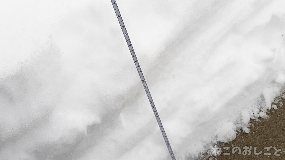 f:id:necozuki299:20220203133409j:plain