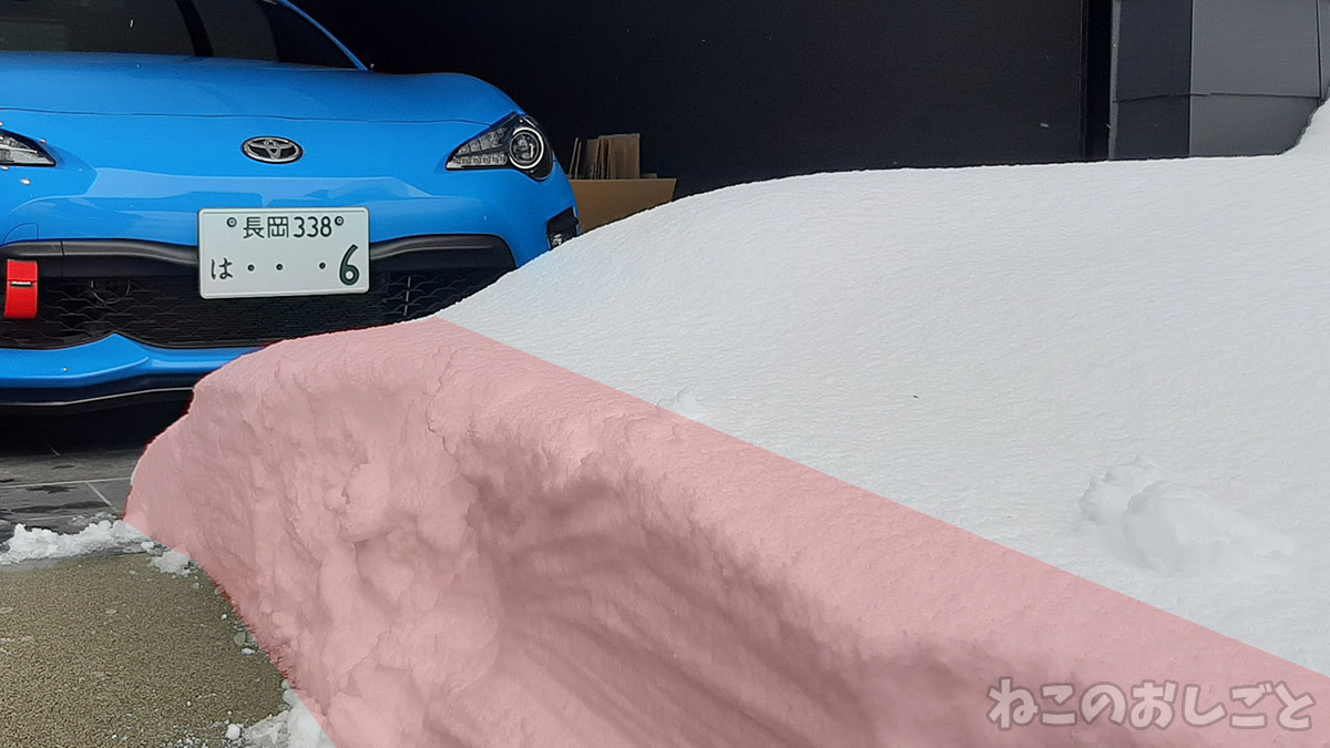 f:id:necozuki299:20220206163559j:plain