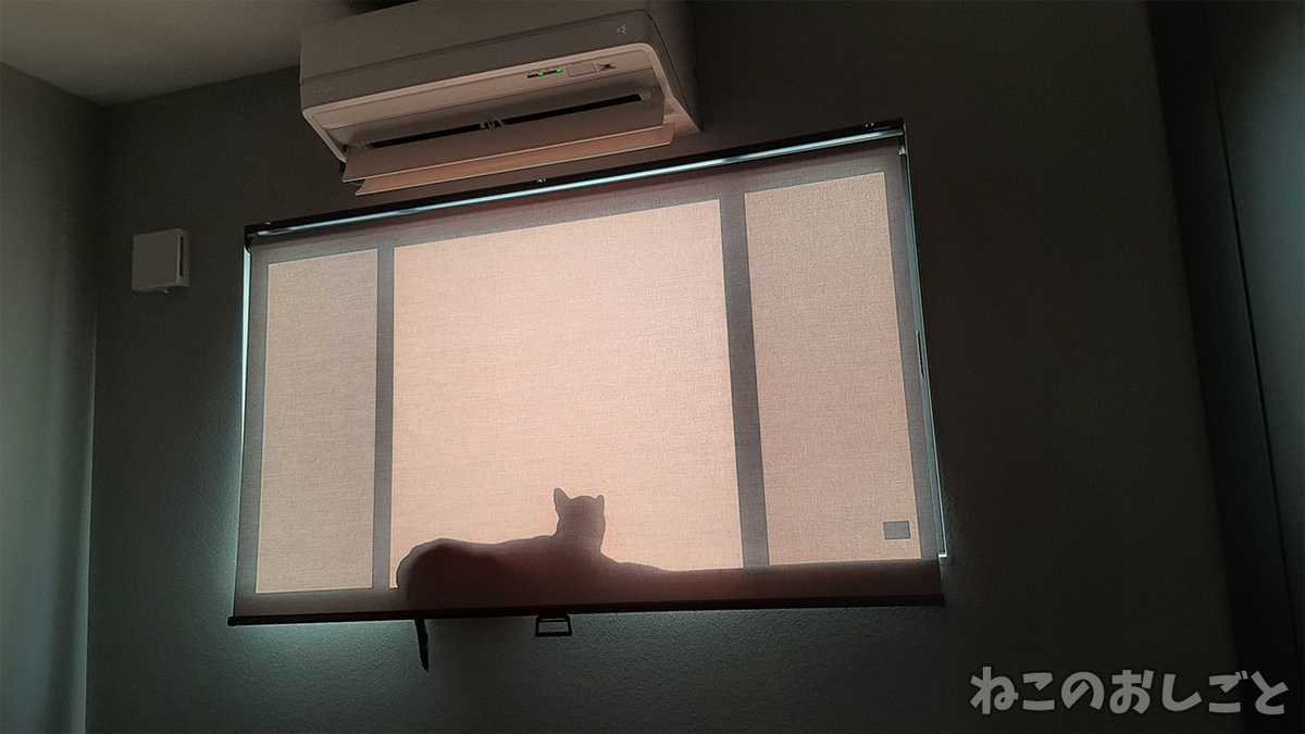 f:id:necozuki299:20220309155152j:plain