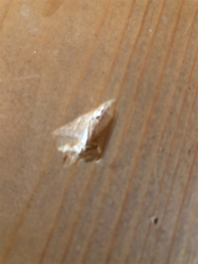 f:id:needle33:20210128142140j:plain