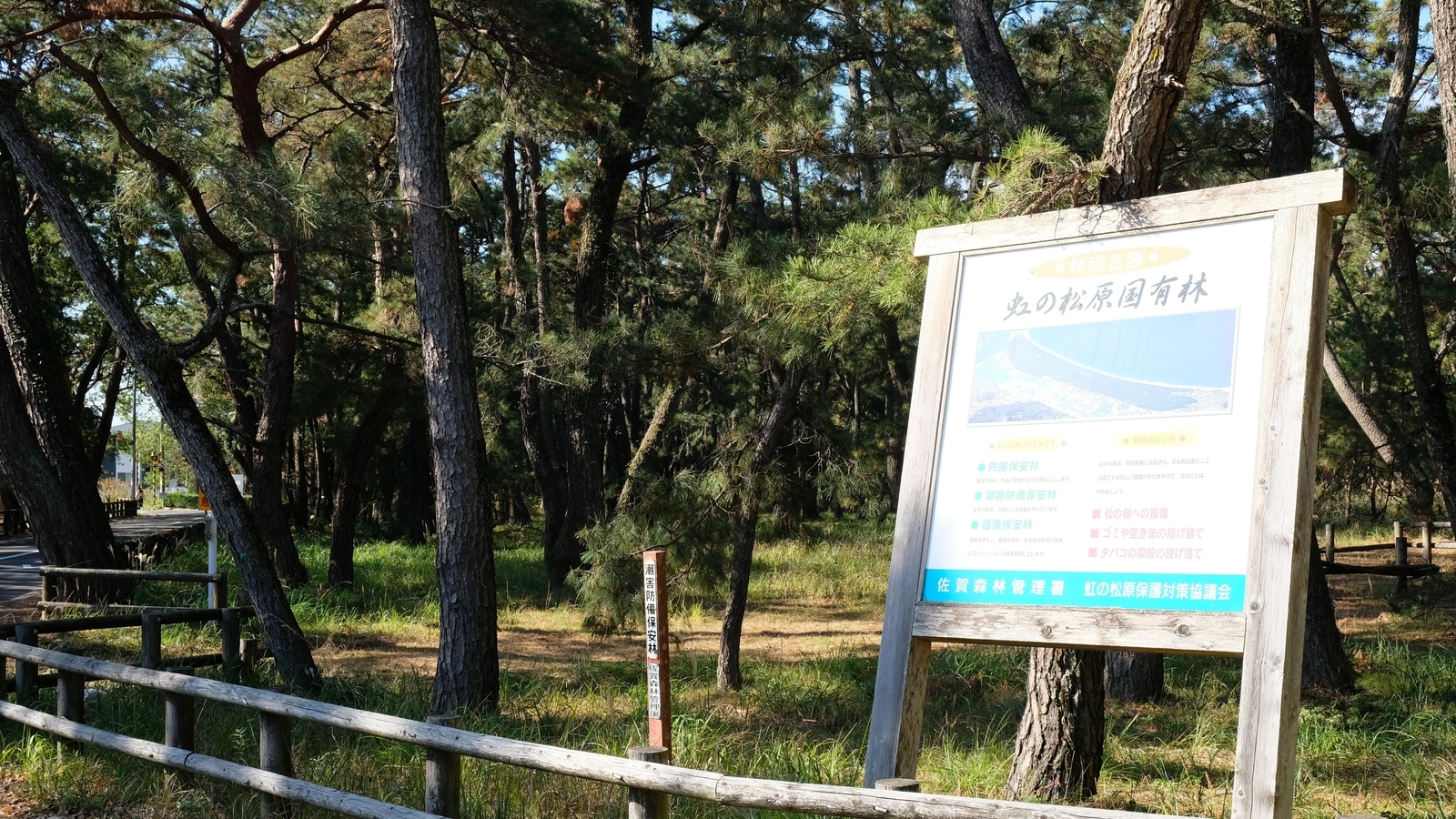 f:id:neeeetdesu:20210526172458j:plain
