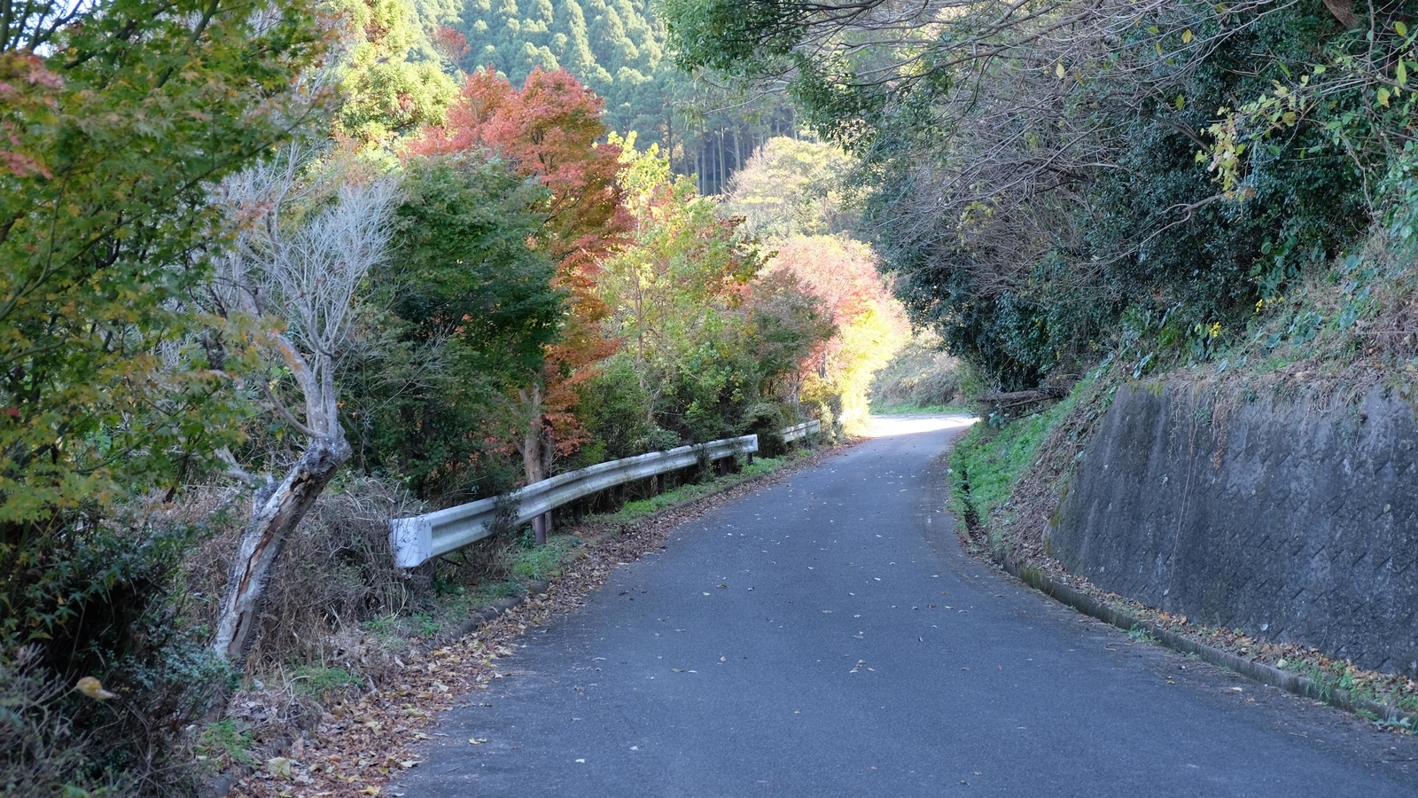 f:id:neeeetdesu:20210526172546j:plain