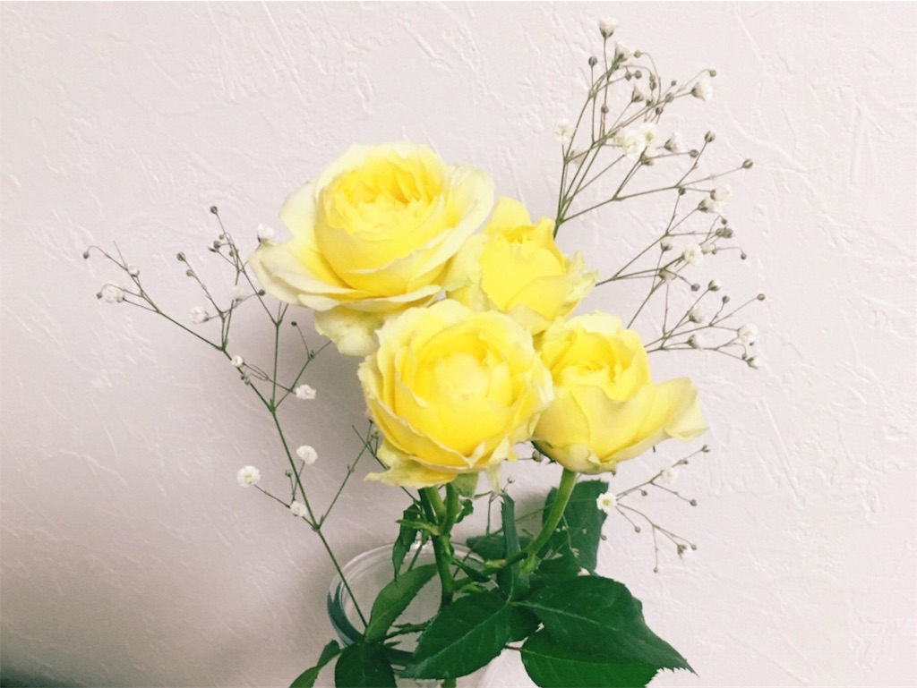 f:id:neegi:20180227190721j:image f:id:neegi:20180227190721j:image