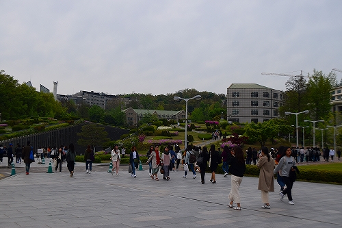 f:id:neet-tabi:20190430011055j:plain f:id:neet-tabi:20190430011055j:plain