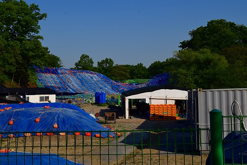 f:id:neet-tabi:20190831182029j:plain