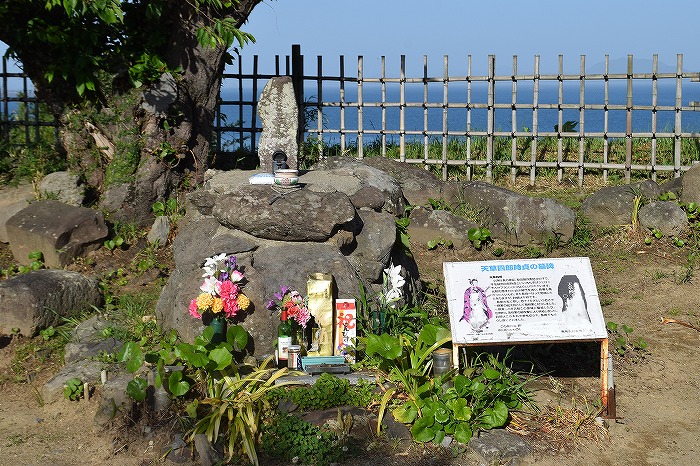 f:id:neet-tabi:20210828131318j:plain