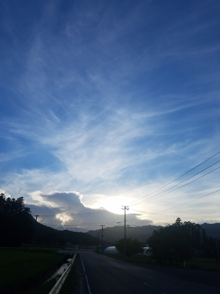f:id:neet_250:20190529221654j:plain f:id:neet_250:20190529221654j:plain