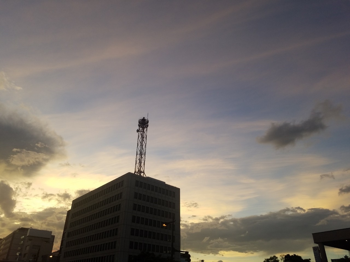 f:id:neet_250:20190529221903j:plain f:id:neet_250:20190529221903j:plain