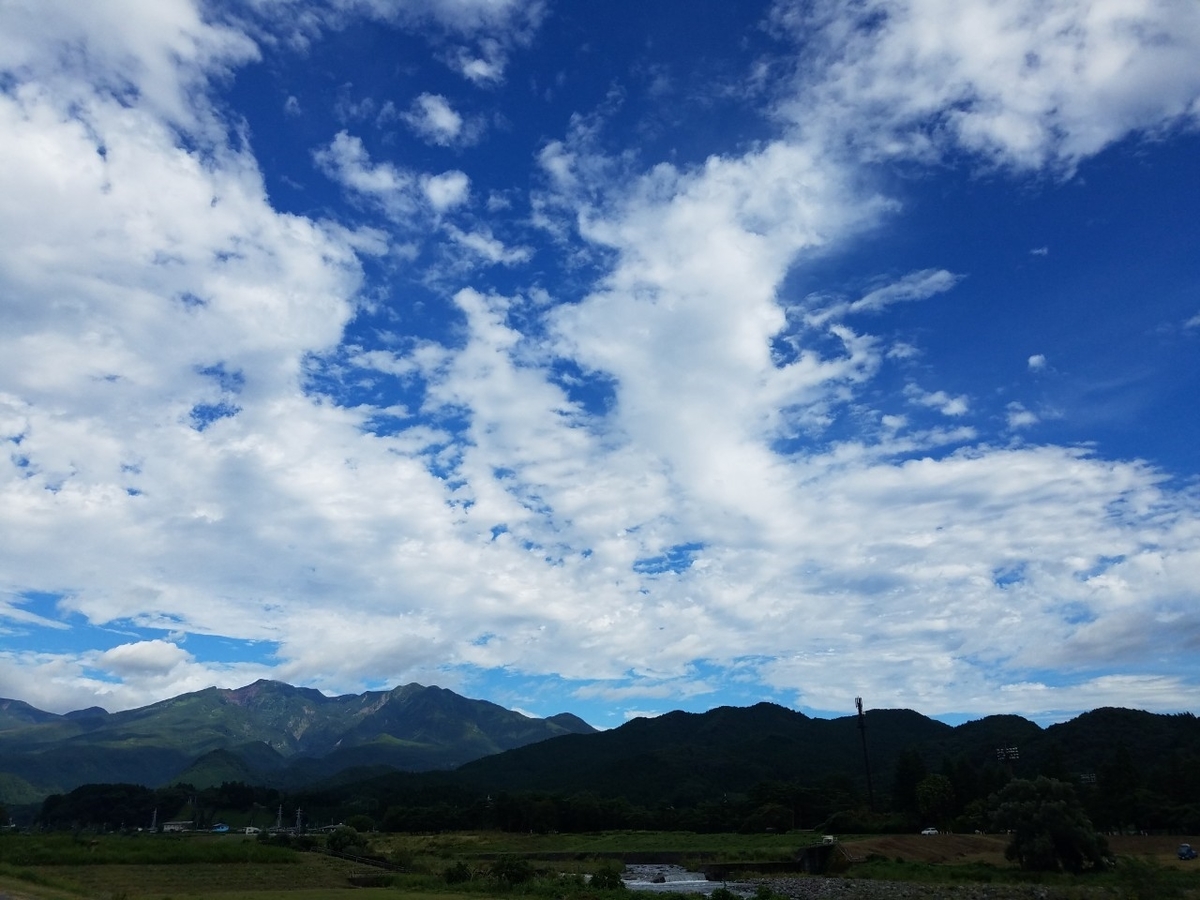 f:id:neet_250:20190605214201j:plain f:id:neet_250:20190605214201j:plain
