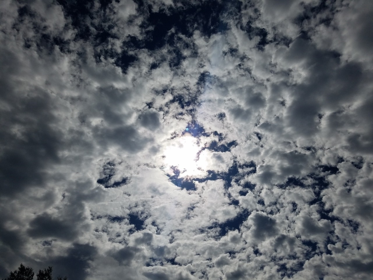 f:id:neet_250:20190605214833j:plain f:id:neet_250:20190605214833j:plain