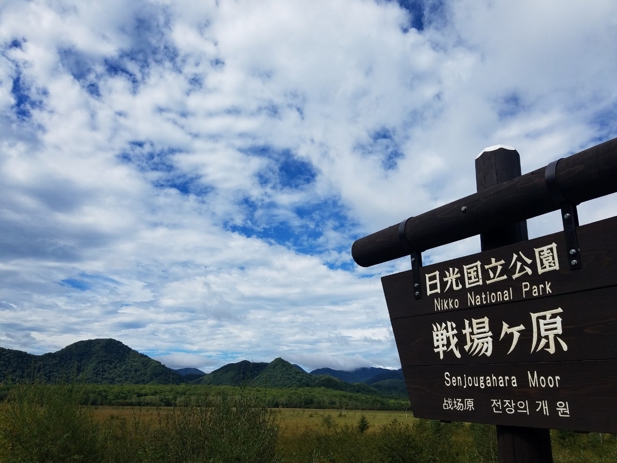 f:id:neet_250:20190605220005j:plain f:id:neet_250:20190605220005j:plain