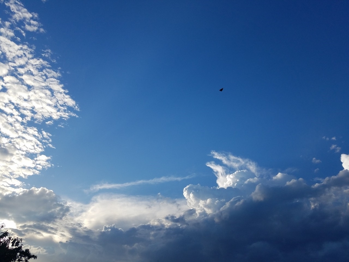 f:id:neet_250:20190605221334j:plain f:id:neet_250:20190605221334j:plain