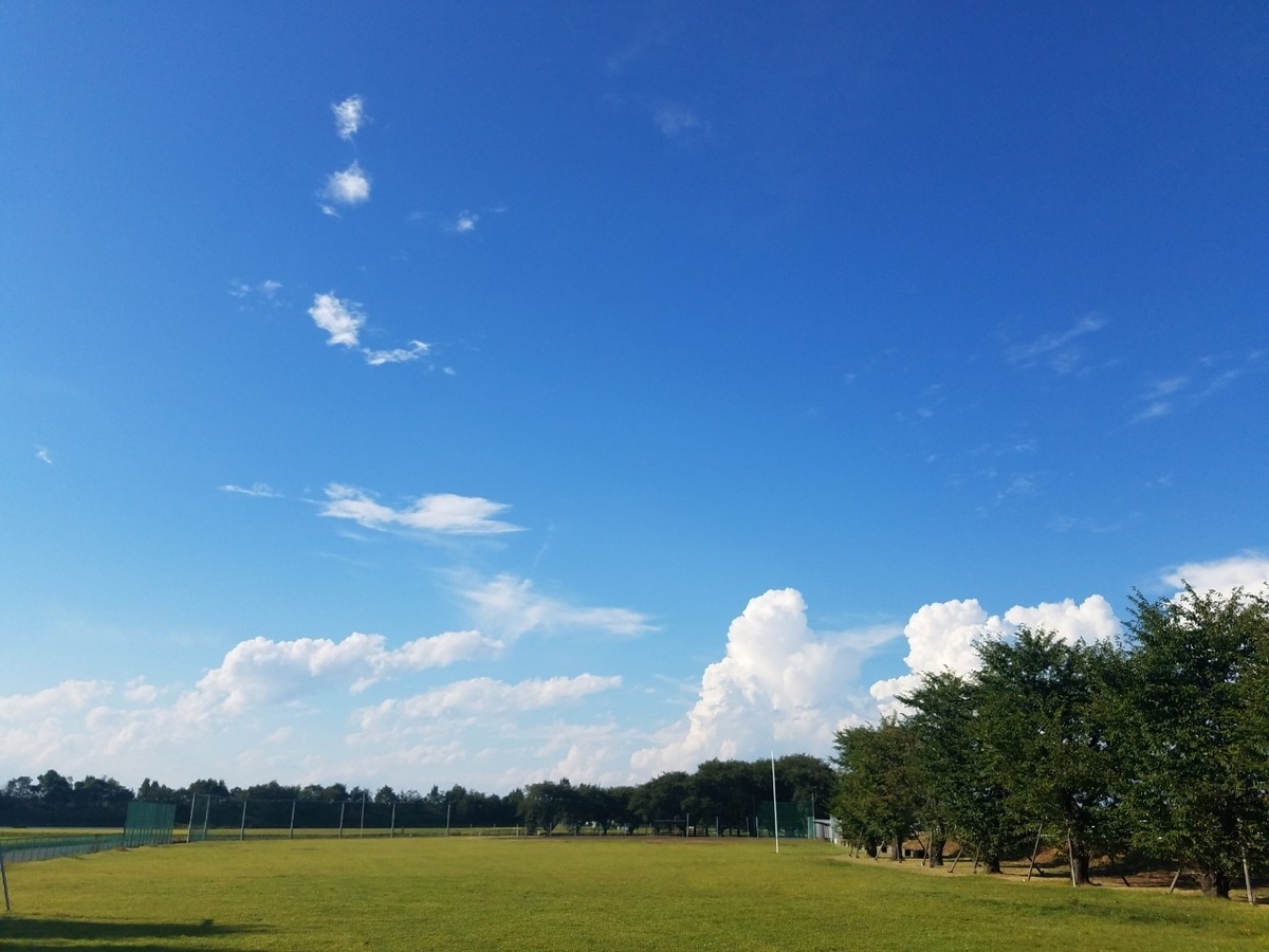f:id:neet_250:20190608210629j:plain f:id:neet_250:20190608210629j:plain