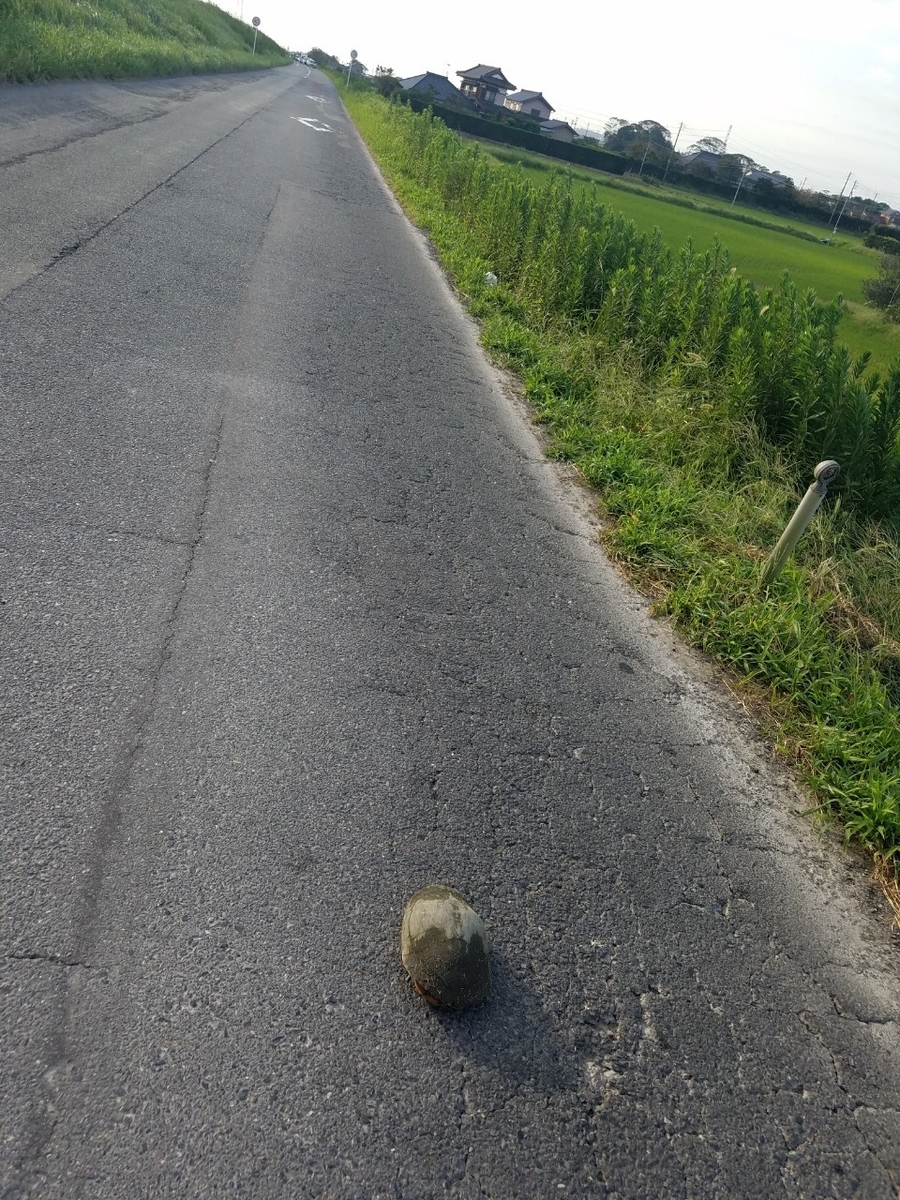 f:id:neet_250:20190610201734j:plain f:id:neet_250:20190610201734j:plain