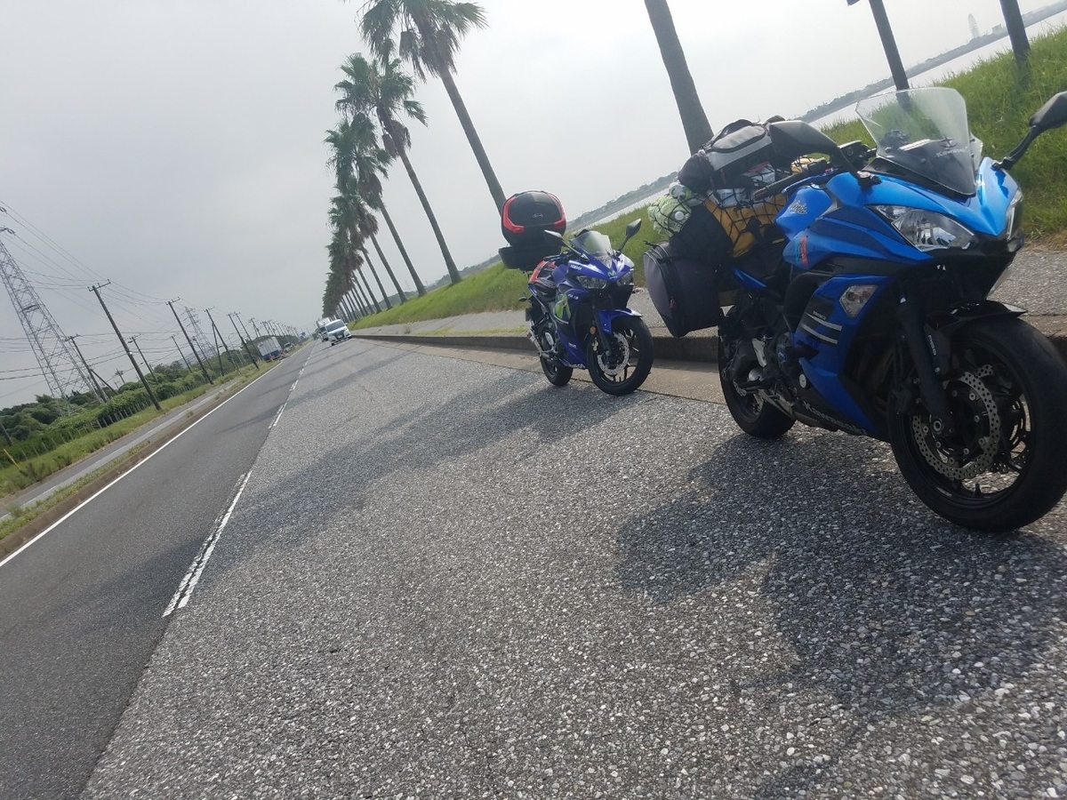 f:id:neet_250:20190611212456j:plain f:id:neet_250:20190611212456j:plain