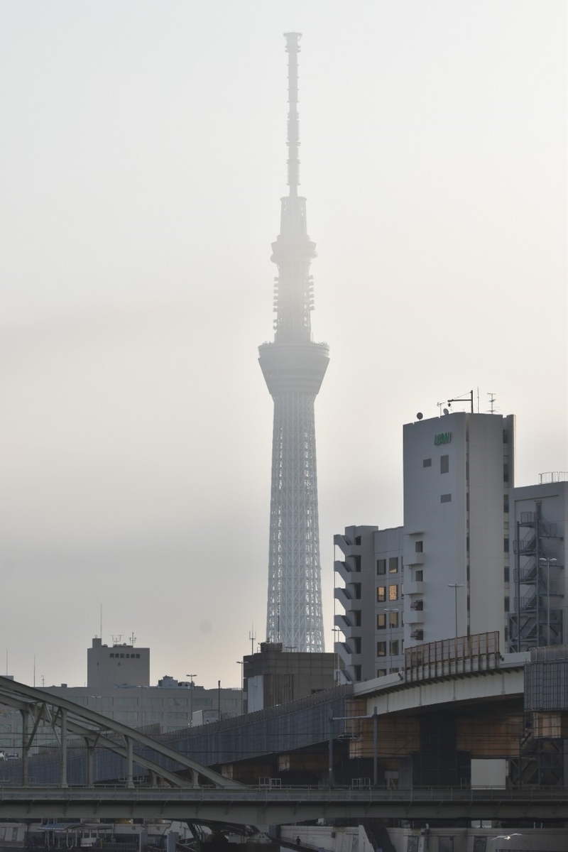 f:id:neet_250:20190612220441j:plain f:id:neet_250:20190612220441j:plain