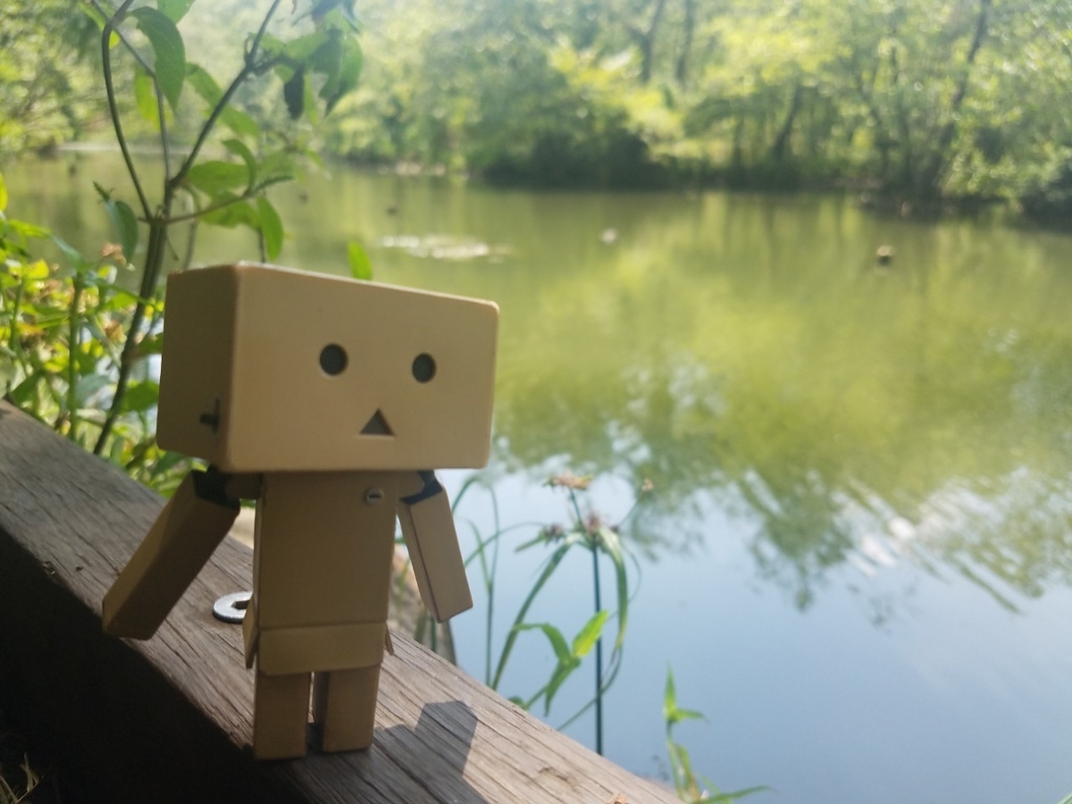 f:id:neet_250:20190612220649j:plain f:id:neet_250:20190612220649j:plain