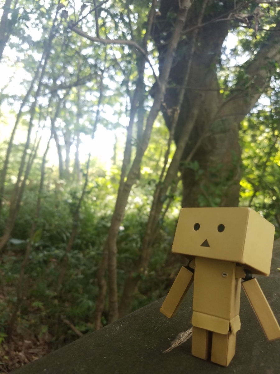 f:id:neet_250:20190612220812j:plain f:id:neet_250:20190612220812j:plain