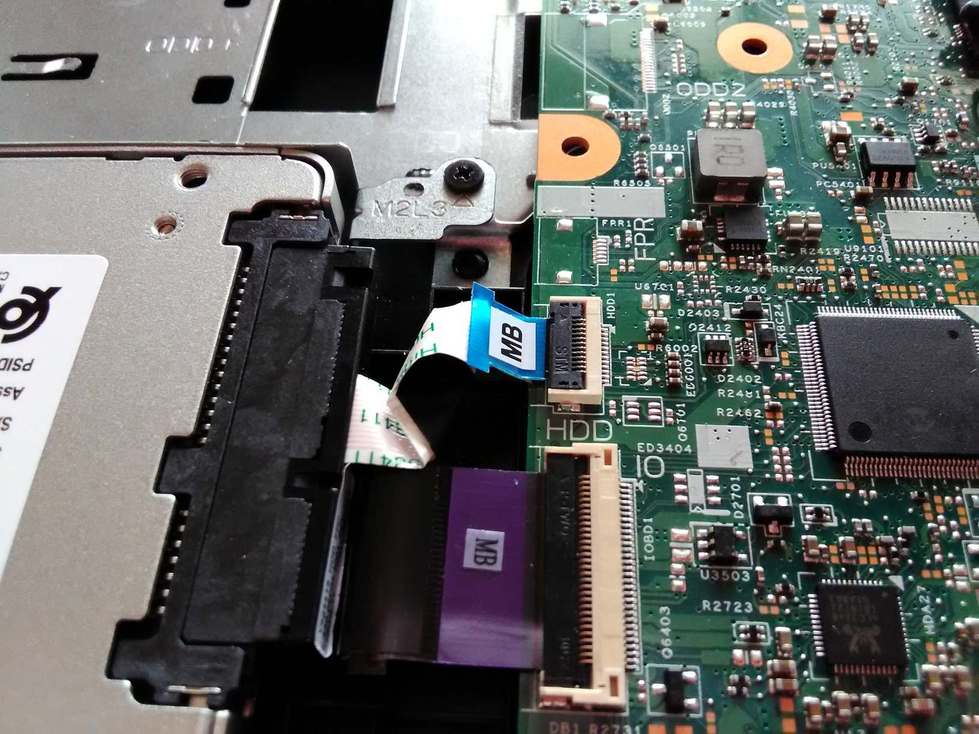 f:id:neet_rookie:20211023135934j:plain