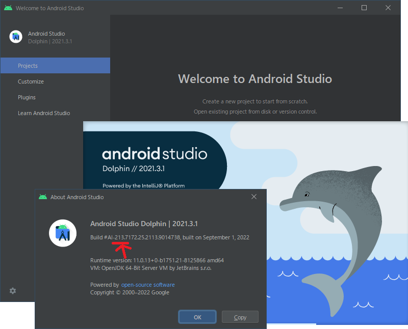 【JetBrains】Android Studio Dolphin 2021.3.1 日本語化【公式プラグイン】 365連休