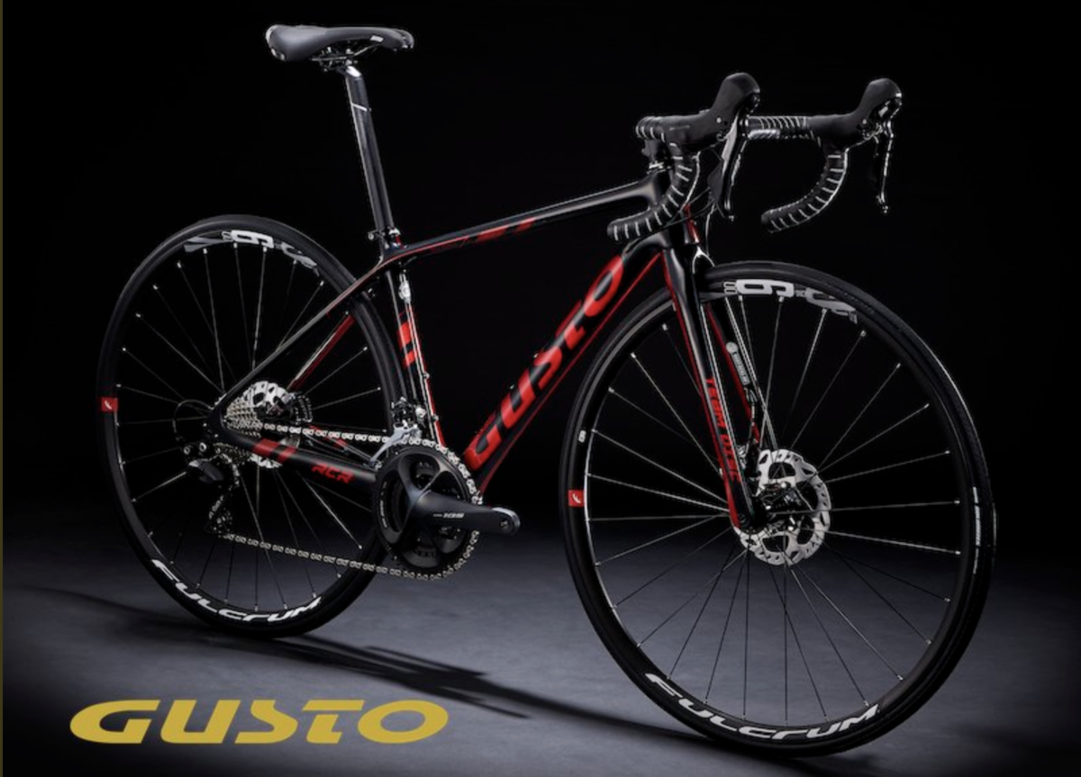 グスト Gusto RCR Team limited ロードバイク本体 カーボン