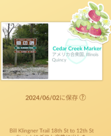 f:id:neetsdkasu:20240604001205p:plain