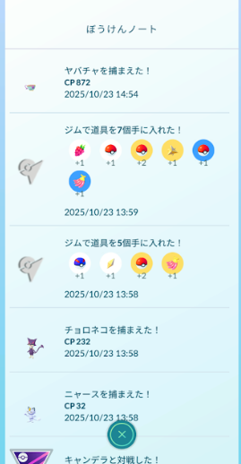 f:id:neetsdkasu:20251027021833p:plain