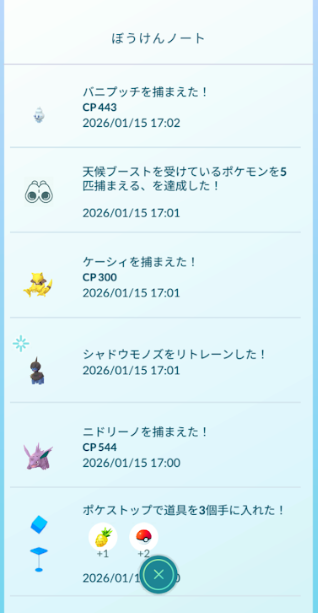 f:id:neetsdkasu:20260117133555p:plain