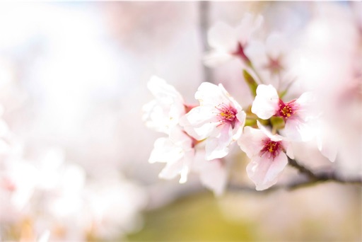 f:id:neettech18:20190417180754j:image f:id:neettech18:20190417180754j:image