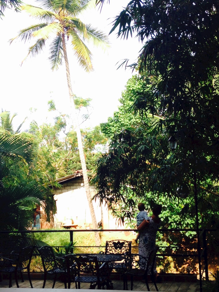 f:id:neeyan:20160906040517j:image f:id:neeyan:20160906040517j:image