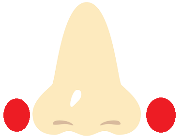 f:id:nefeterius:20190302192125p:plain f:id:nefeterius:20190302192125p:plain