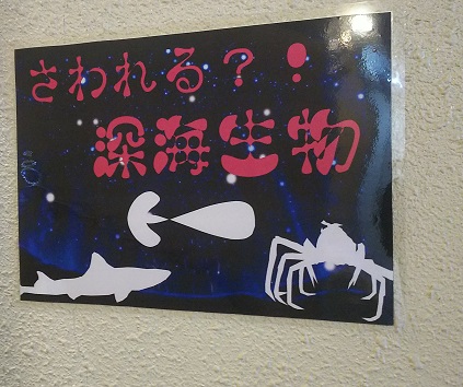 f:id:nefeterius:20190514213716j:plain