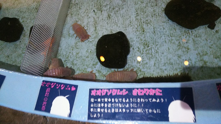 f:id:nefeterius:20190514214052j:plain