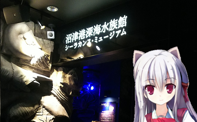 f:id:nefeterius:20190918202851p:plain f:id:nefeterius:20190918202851p:plain