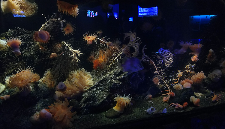 f:id:nefeterius:20190918203117p:plain f:id:nefeterius:20190918203117p:plain