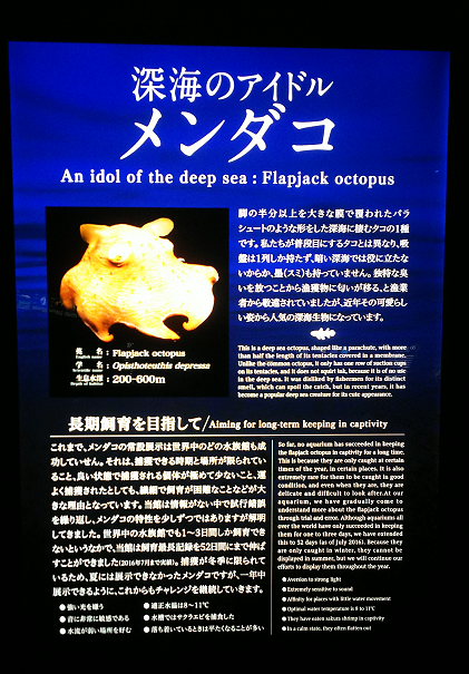 f:id:nefeterius:20190918203338p:plain f:id:nefeterius:20190918203338p:plain