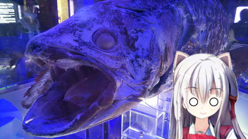 f:id:nefeterius:20190918204226p:plain f:id:nefeterius:20190918204226p:plain