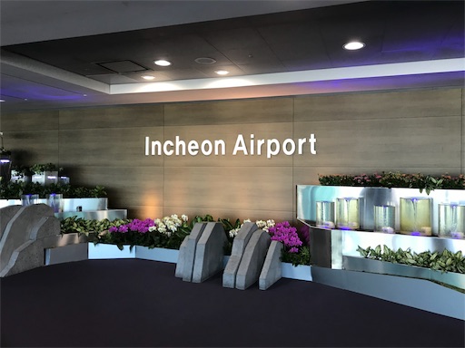 f:id:nefyou:20190111123438j:image